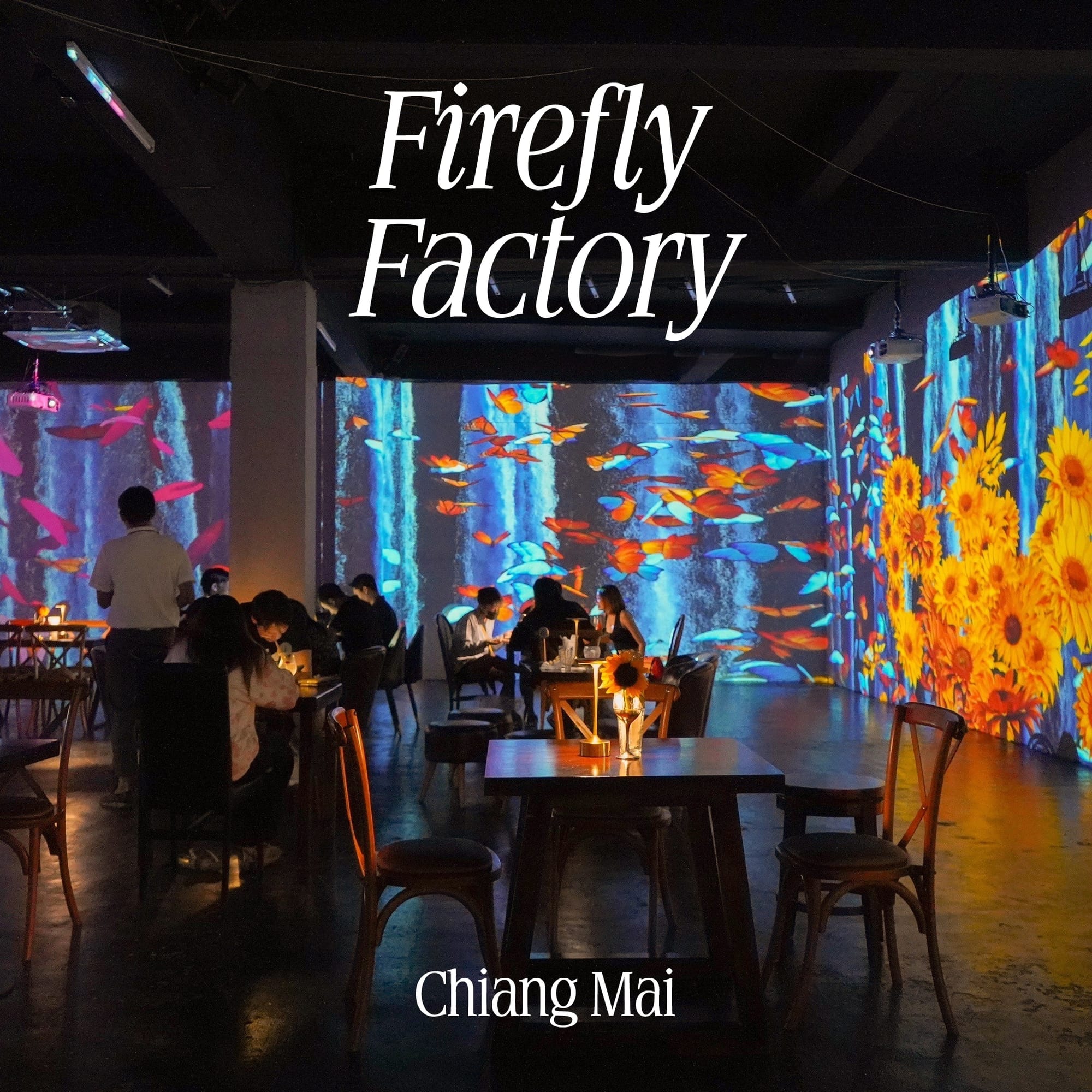 Firefly Factory - Thai & Italian Fusion Restaurant & 3D Immersive Dining Experience